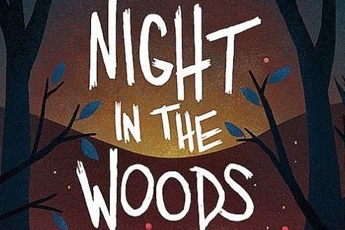 Immagine di Night in the Woods annunciato per PlayStation 4