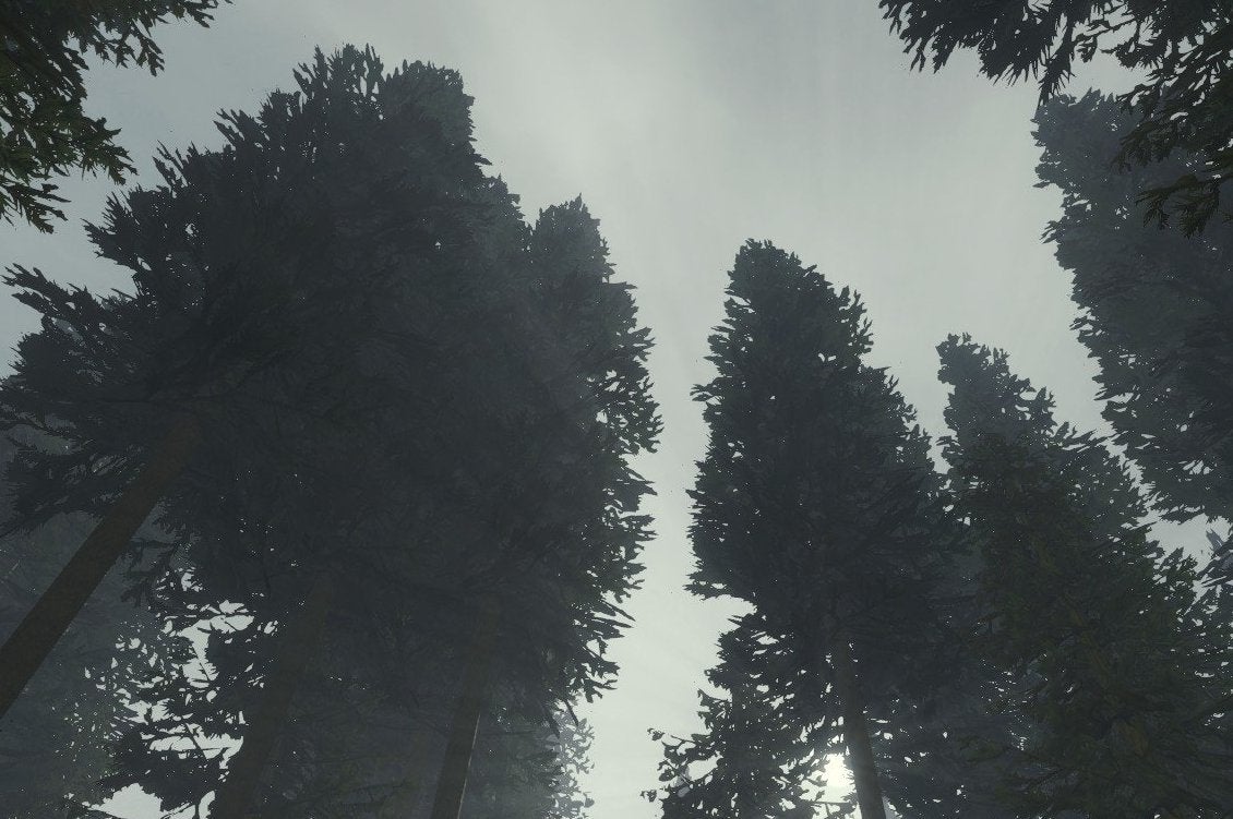 Image for Video: The Forest live stream