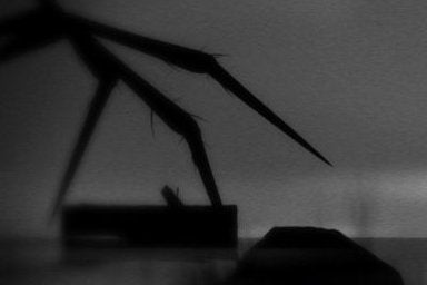 Image for Limbo launches on Xbox One free for early adopters