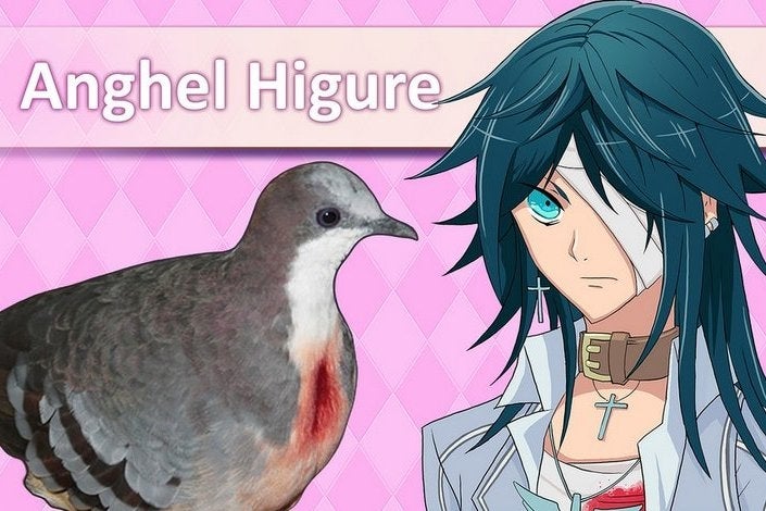 Image for Pigeon-dating sim Hatoful Boyfriend is coming to PS4 and Vita