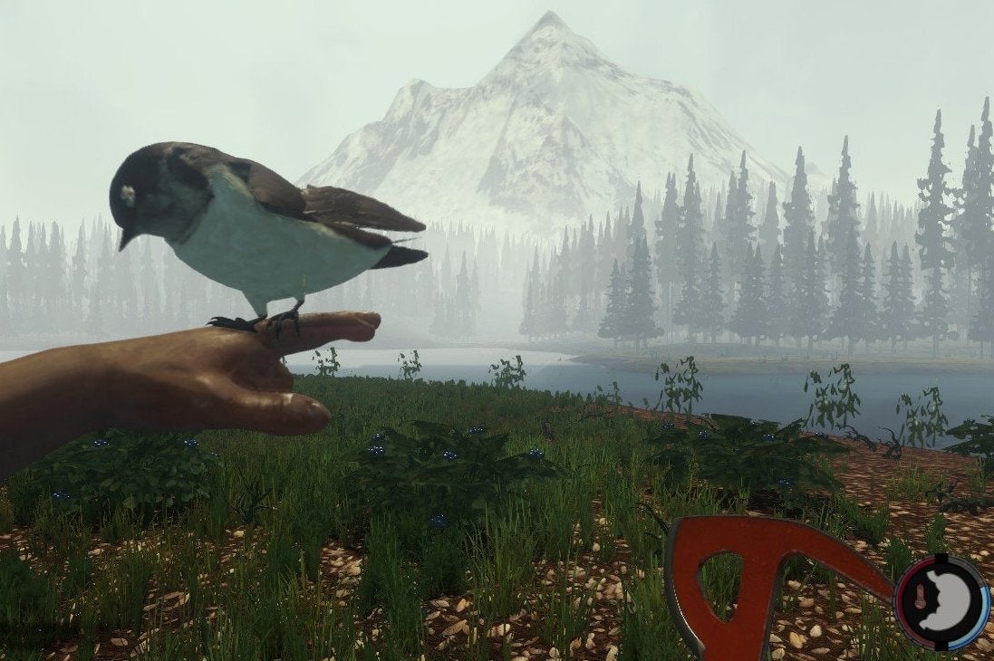 Image for Hororová hra The Forest vyjde také na PS4