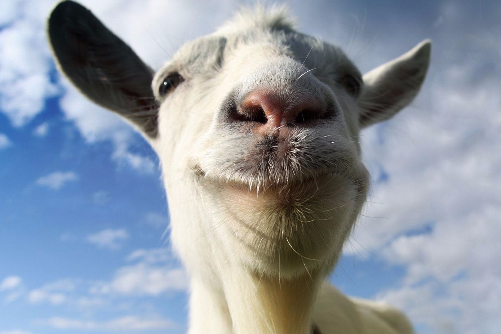 Imagen para Goat Simulator ya tiene fecha en plataformas PlayStation