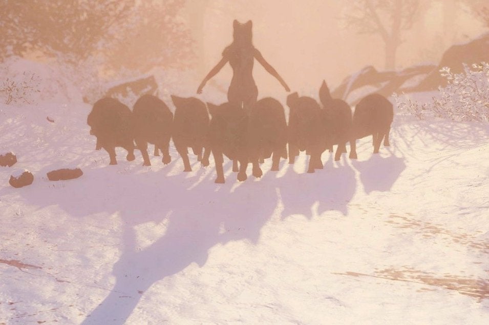 Afbeeldingen van Michel Ancel toont eerste gameplay Wild