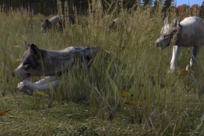 Image for DayZ in 2016: aerial vehicles, predators, animal companions, more