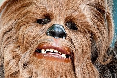 Image for Cancelled Star Wars games: a Dark side Rogue Squadron and Chewbacca action adventure
