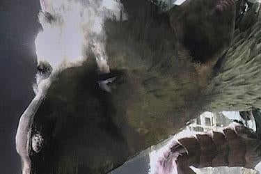 Immagine di The Last Guardian: il framerate non migliora con la patch 1.03, sia su PS4 che PS4 Pro