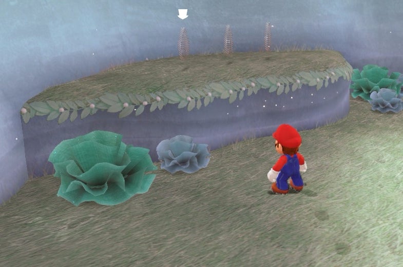Afbeeldingen van Super Mario Odyssey Merenrijk - Paarse Druppels Munten locaties