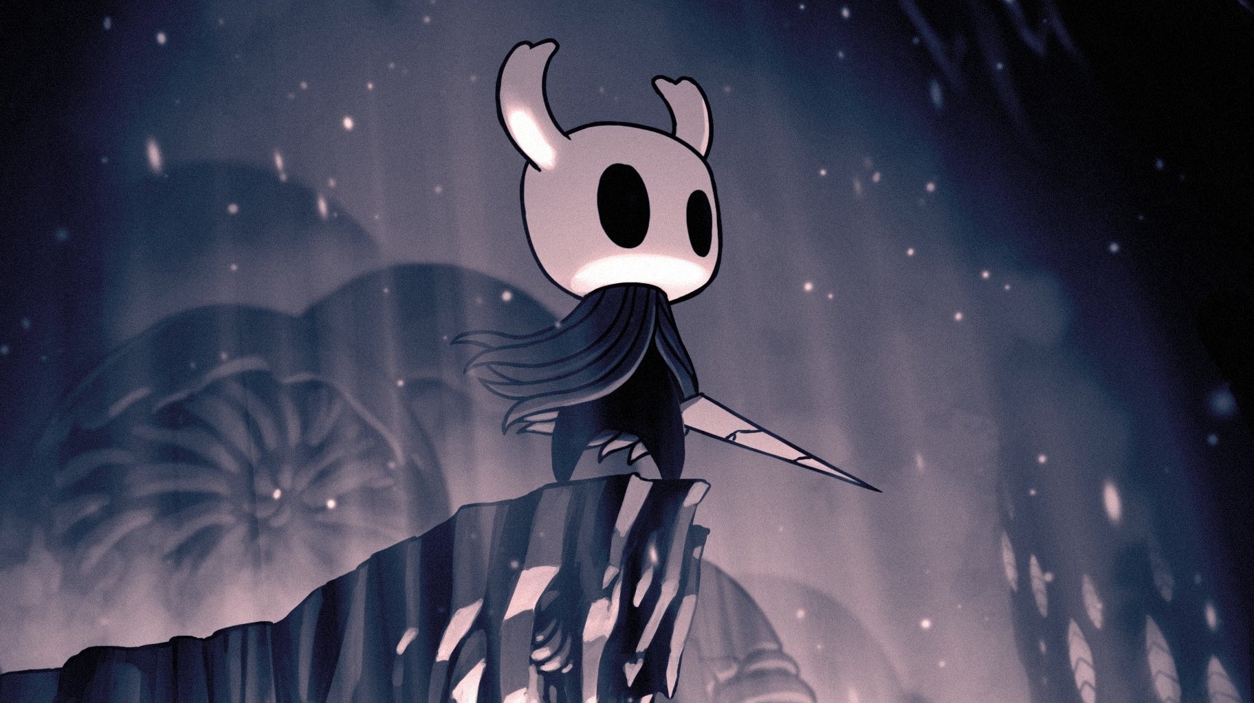 Image for Physical edition of Hollow Knight cancelled