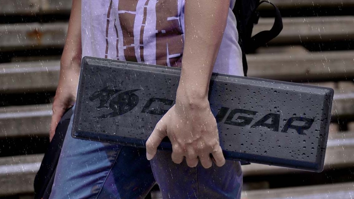 Immagine di Cougar Puri - recensione