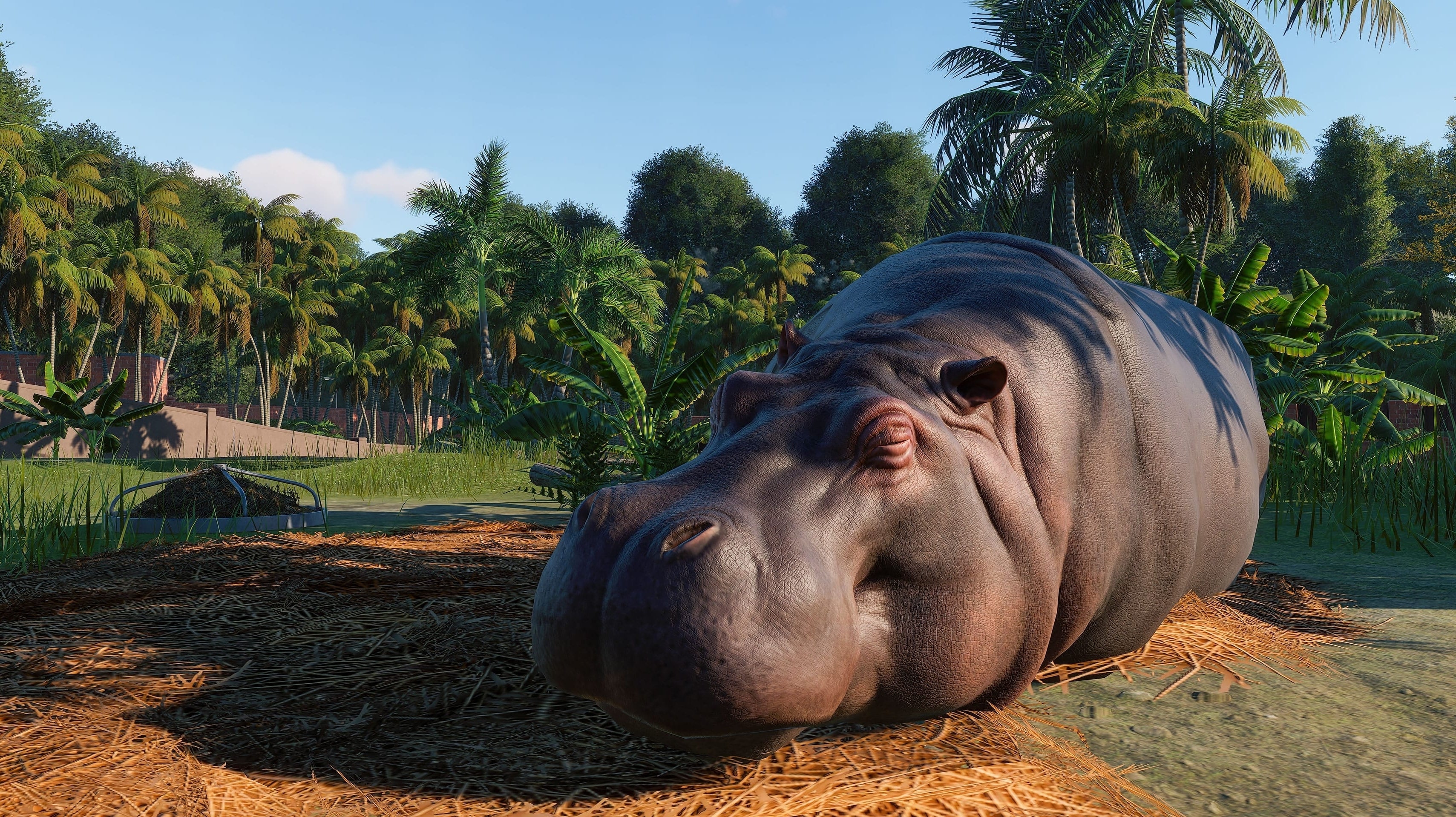 Bilder zu E3 2019 - Seht "die realistischsten Tiere aller Zeiten" im neuen Planet-Zoo-Trailer