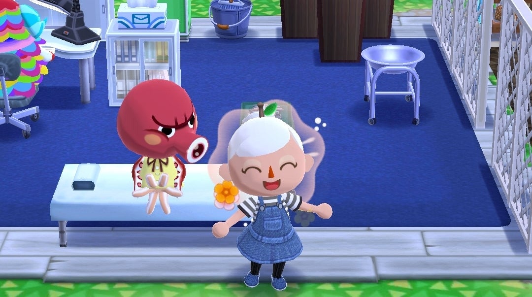 Image for Animal Crossing: Pocket Camp and the feud that keeps on running