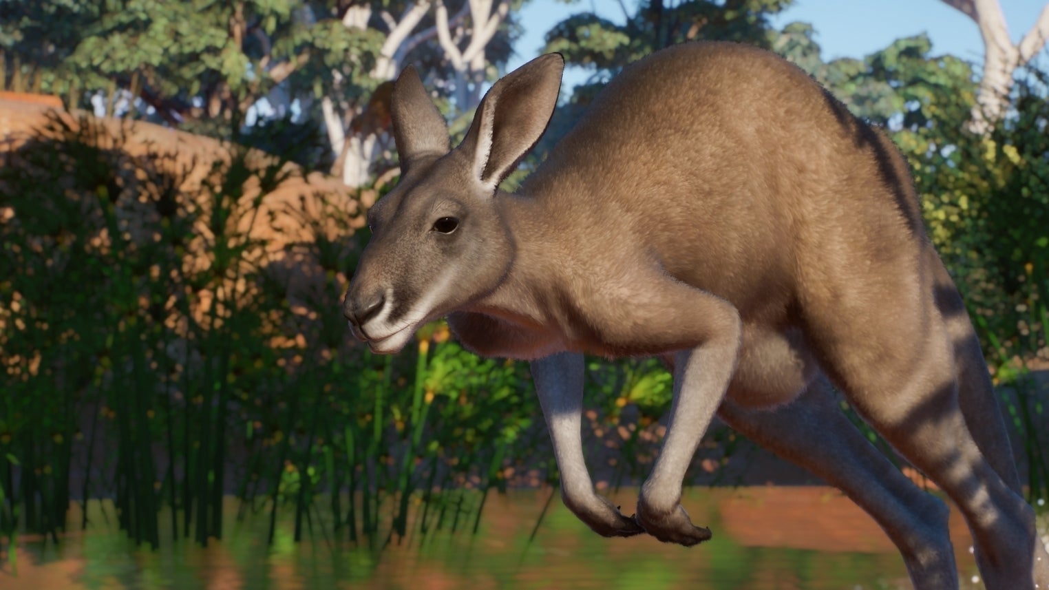 Image for Planet Zoo is off to Australia next week in its latest paid DLC
