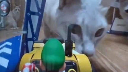 Image for Mario Kart Live: Home Circuit launches today and it's getting in the way of people's cats