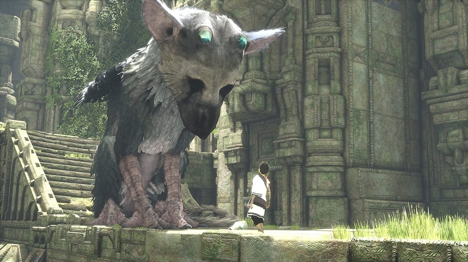 Image for The Last Guardian on PS5 runs at 60fps - but only if you have the disc