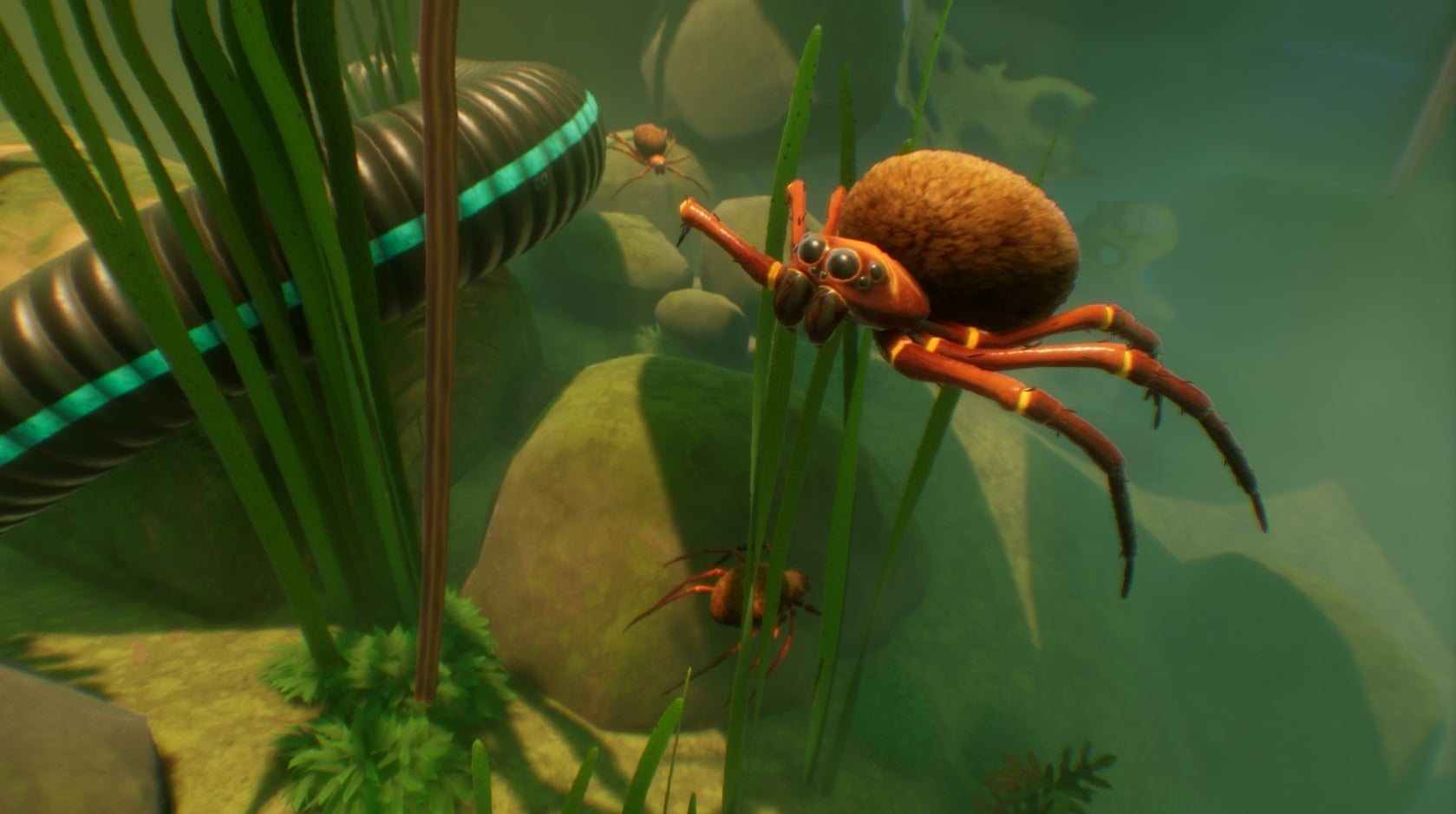 Grounded's underwaterthemed koi pond update is now live for everyone