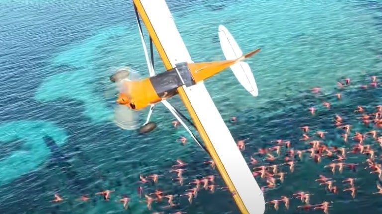 Image for Oznámena Game of the Year edice leteckého simulátoru