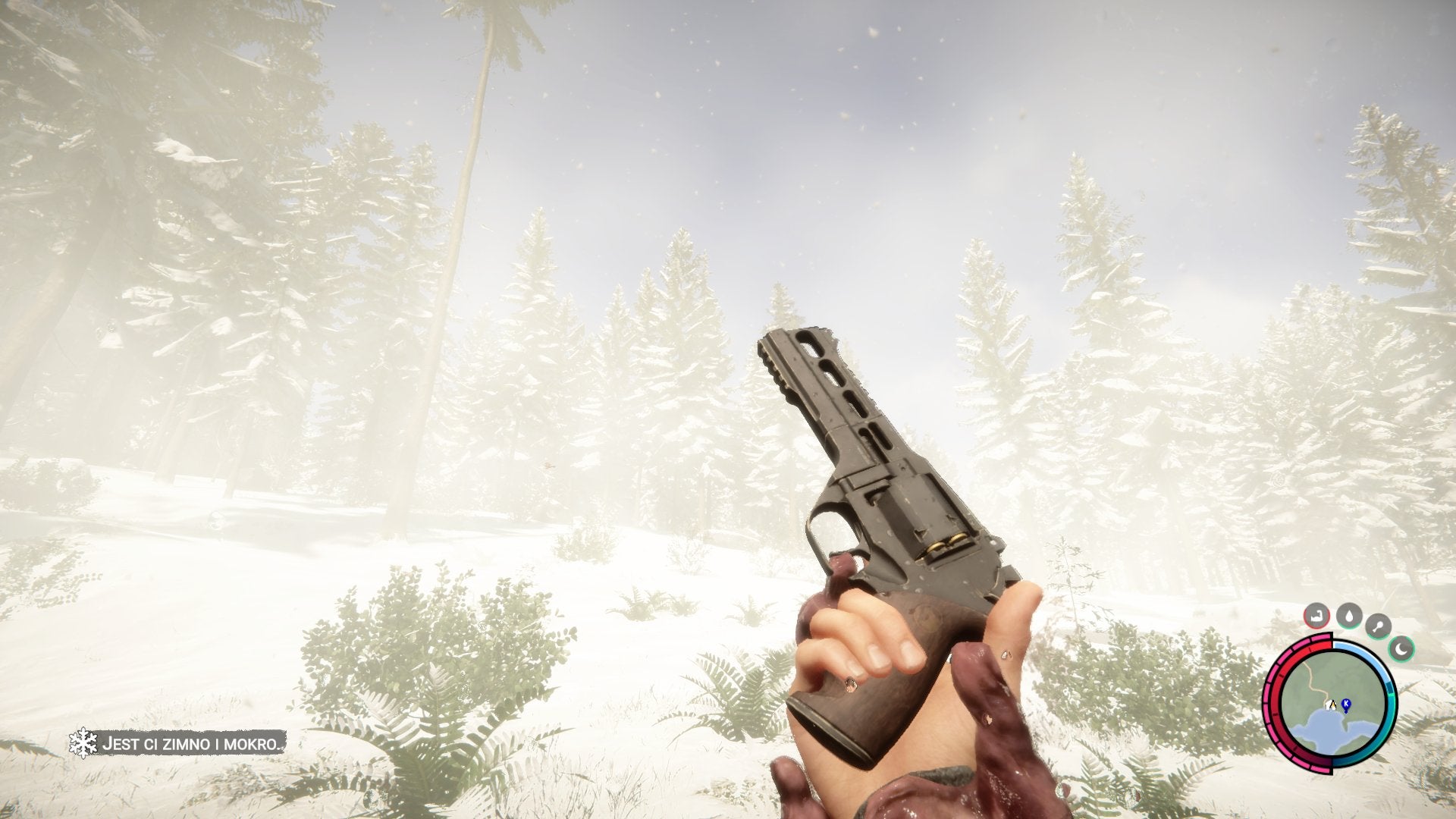 Obrazki dla Sons of the Forest - rewolwer i łuk bloczkowy
