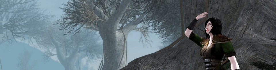 Immagine di Il lead designer di Morrowind e Oblivion passa a Turbine