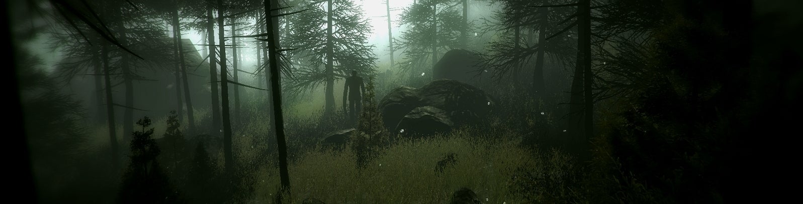 Image for Slender: The Arrival review