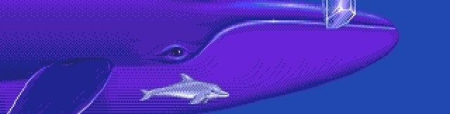 Image for "It was just there: dolphin, dolphin, dolphin"