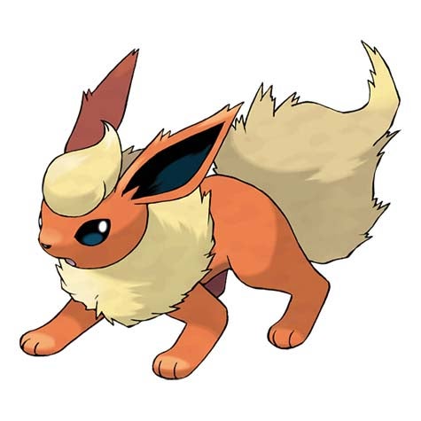 Pok mon Sword and Shield Pok dex  every Pok mon in the Galar Pok dex confirmed so far - 18