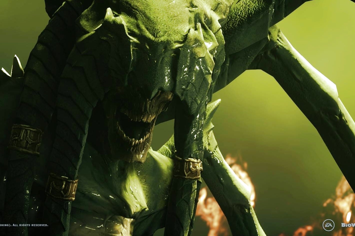 Image for Dragon Age saves "absolutely come across" to Inquisition