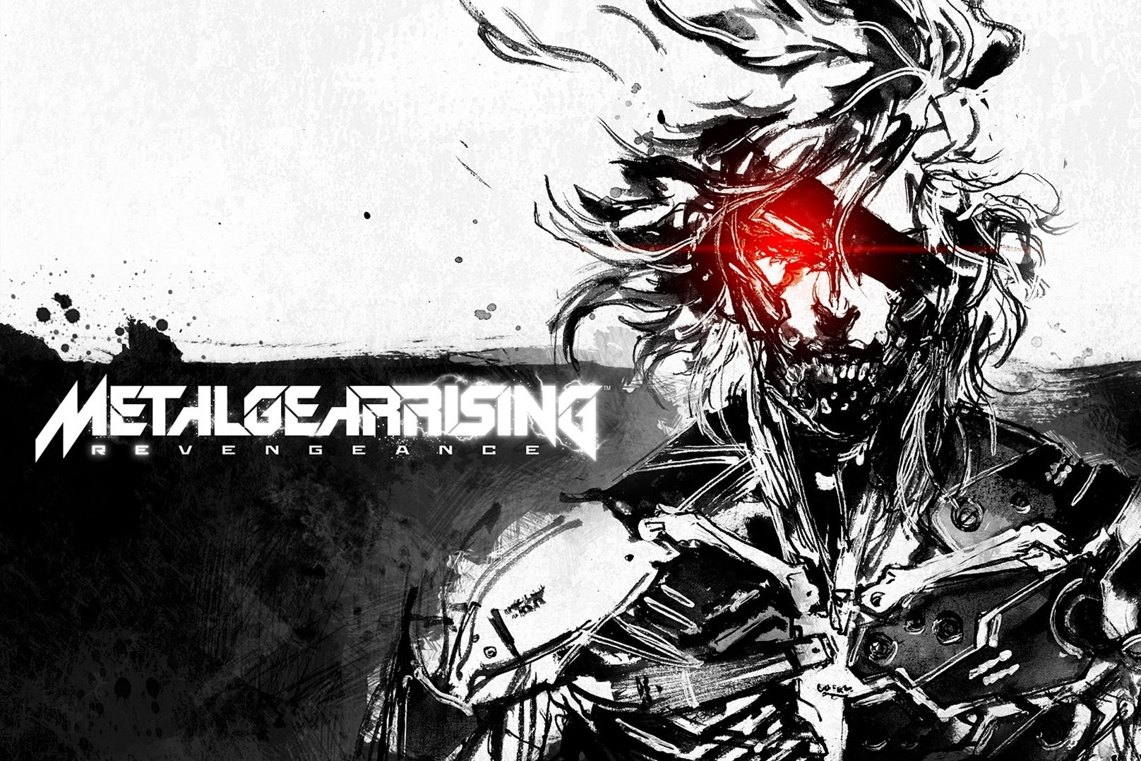 Imagen para Konami tantea el terreno para una segunda entrega de Metal Gear Rising