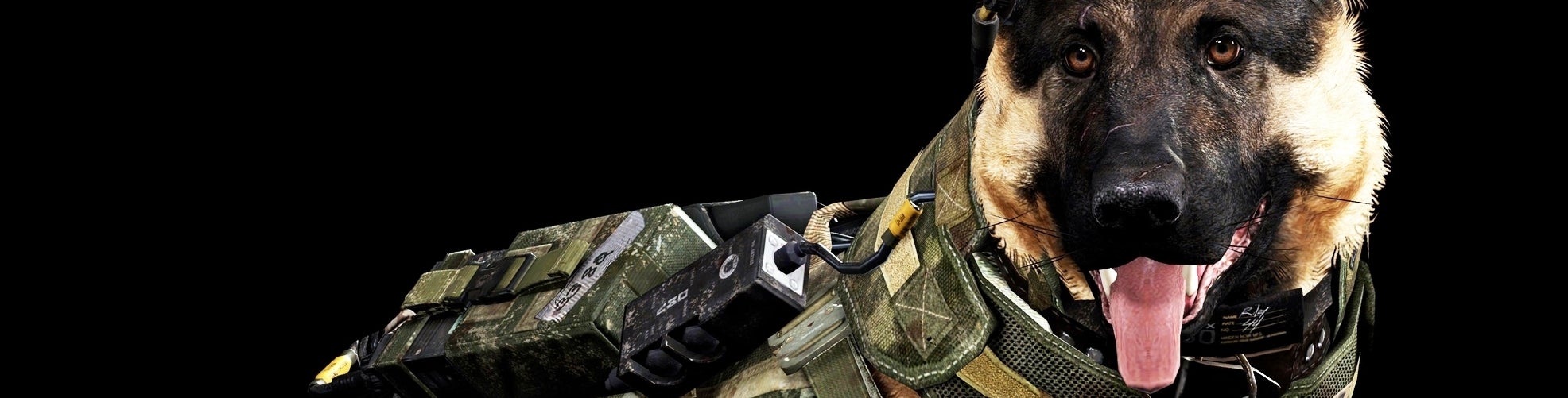 Image for Vlčák Riley z Call of Duty na zimu dostal novou kožešinu