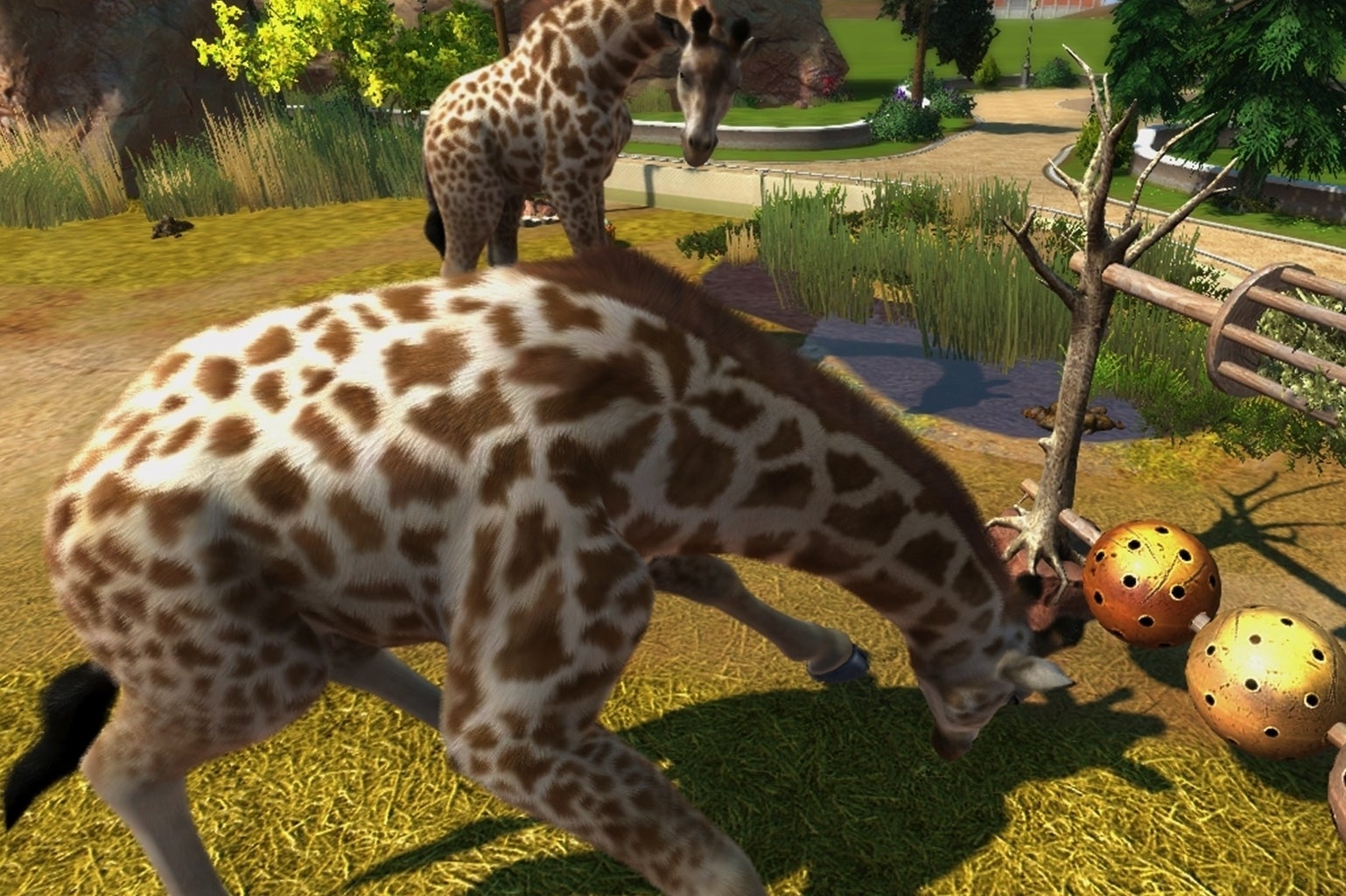 Immagine di Disponibile la demo di Zoo Tycoon per Xbox One