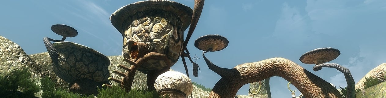 Image for Hodina z hraní předělávky Morrowindu do Skyrim enginu