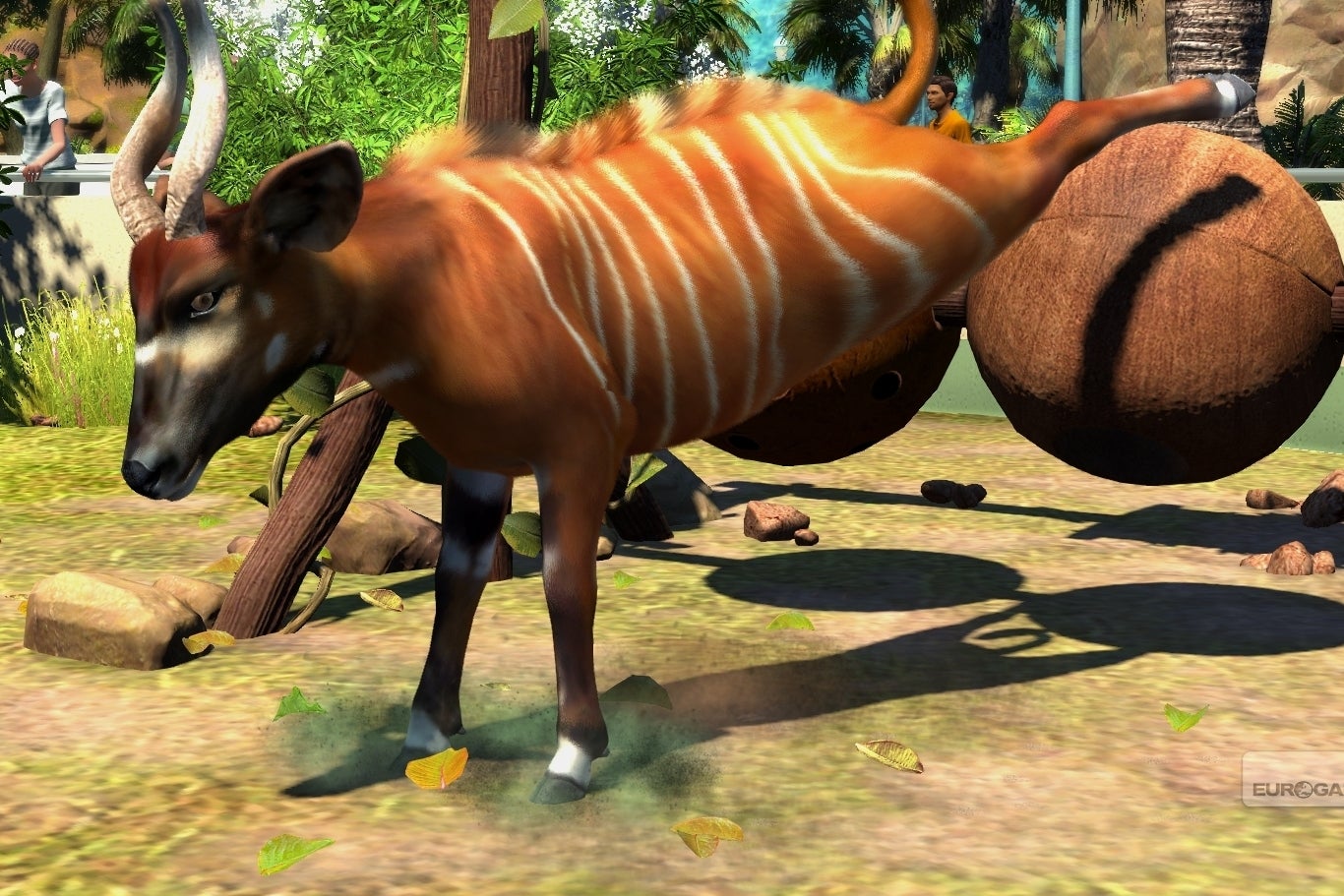 Image for Zoo Tycoon community challenge to help endangered animals