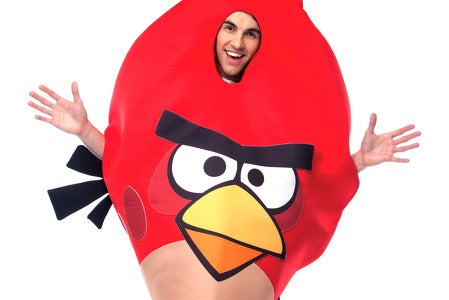 Image for Fake Angry Birds developer fined £50,000