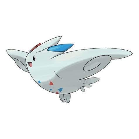 Pok mon Sword and Shield Pok dex  every Pok mon in the Galar Pok dex confirmed so far - 31