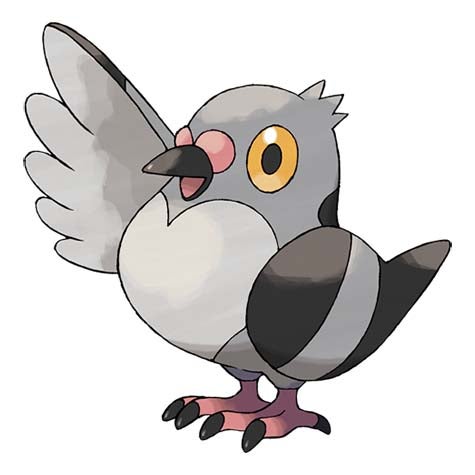 Pok mon Sword and Shield Pok dex  every Pok mon in the Galar Pok dex confirmed so far - 42