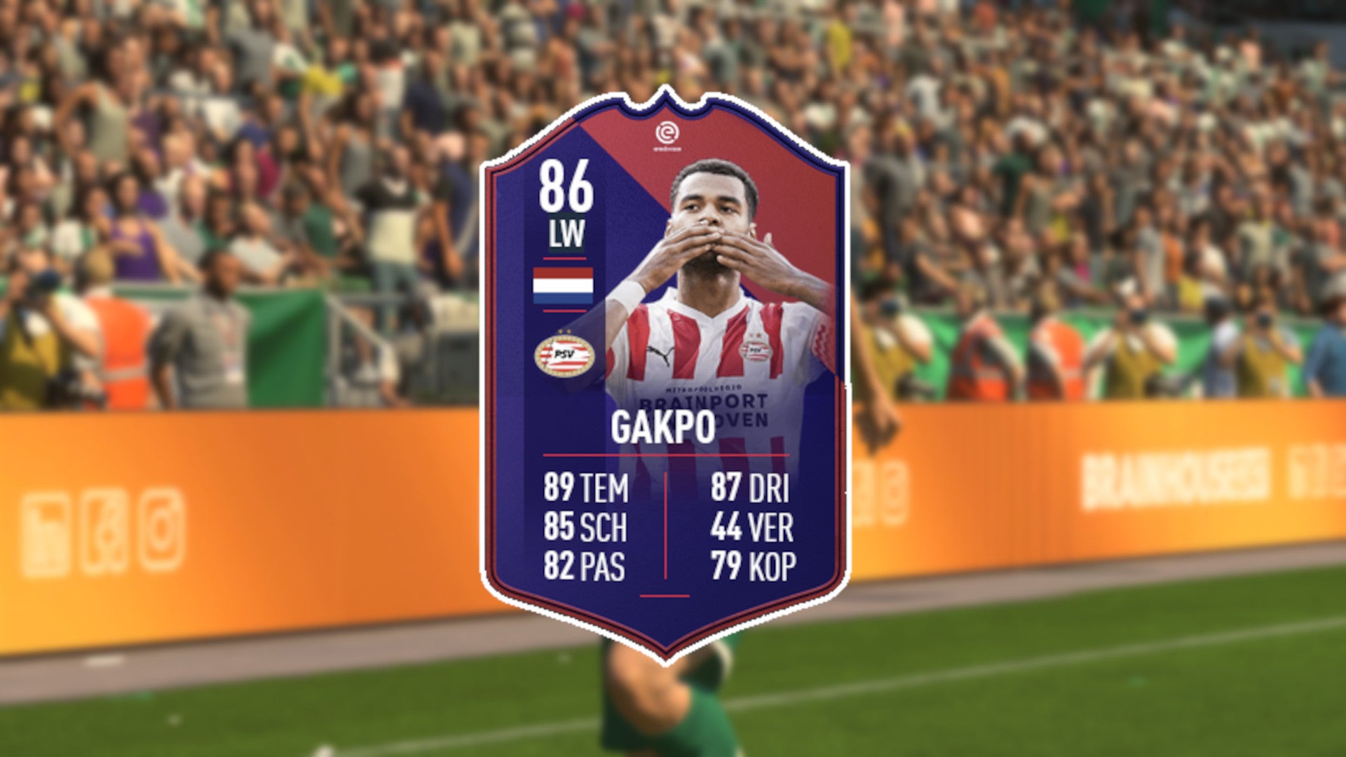 FIFA 23 SBC Cody Gakpo Lösung | Eurogamer.de