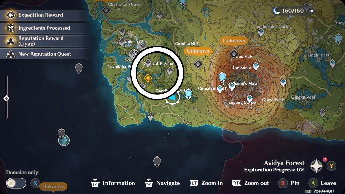 Genshin Impact Through Mists of Smoke and Forests Dark walkthrough for Archon Quest - 34