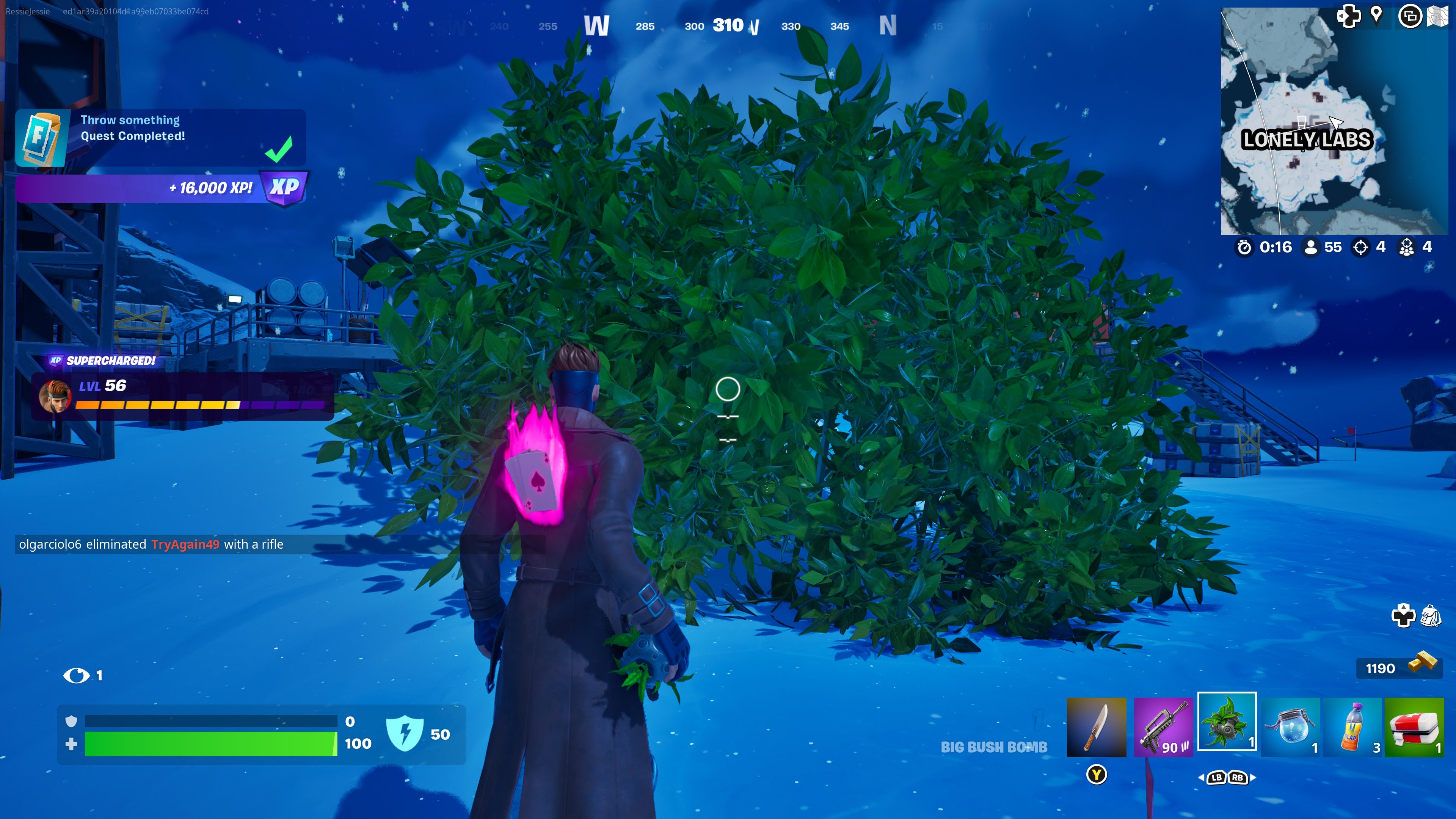 How to hide in bushes that you threw down in Fortnite 3