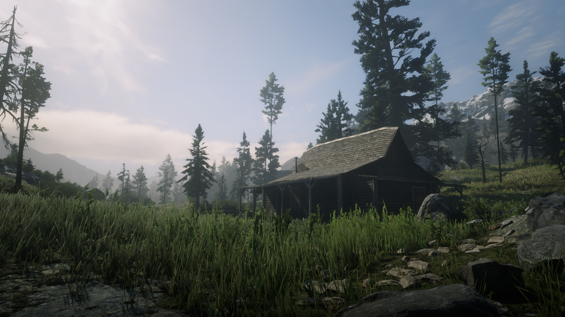 Red Dead Online - a house in the woods used for moonshining