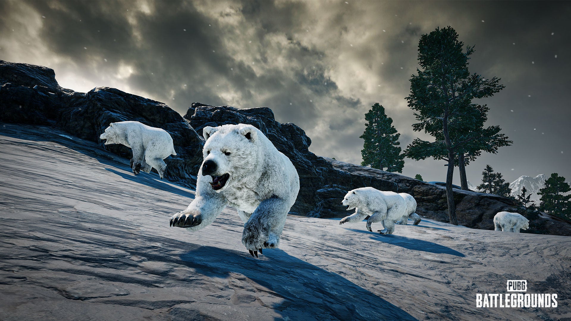 PUBG: le patch 22.1 de Battlegrounds est là pour les joueurs PC et les amoureux des ours
