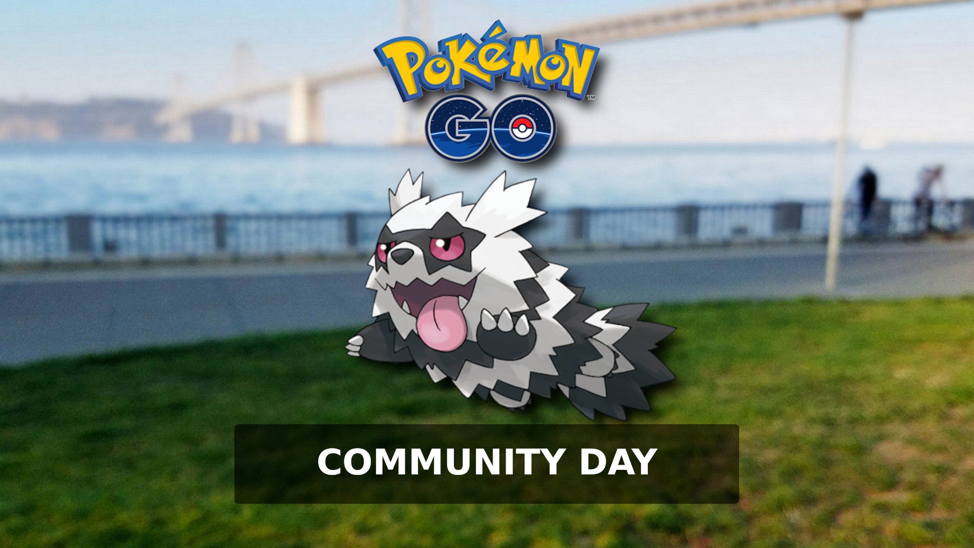 Bilder zu Pokémon Go: Community Day heute mit Galar-Zigzachs - Alle Infos zu Event und Boni