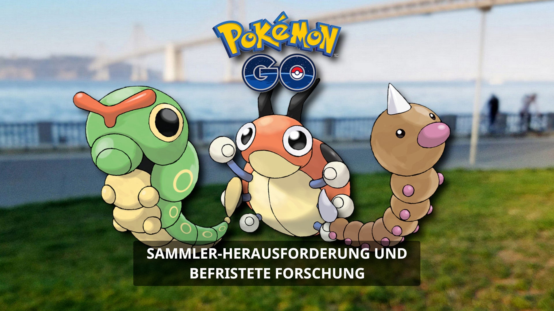Bilder zu Pokémon Go Käferkrabbelei: Befriste Forschung und Sammler-Herausforderung gelöst