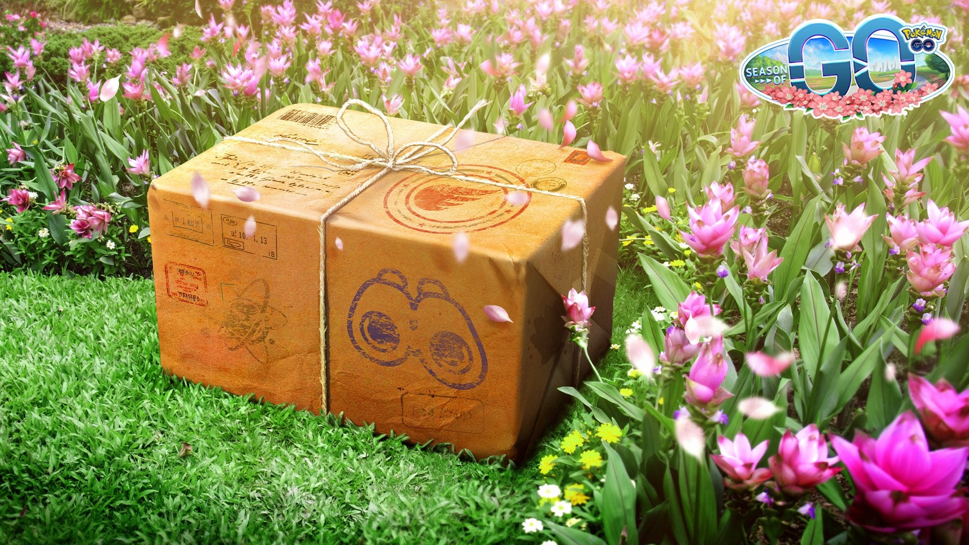 Pok mon Go Season of Go hemisphere Pok mon  seasonal spawns and end date explained - 55