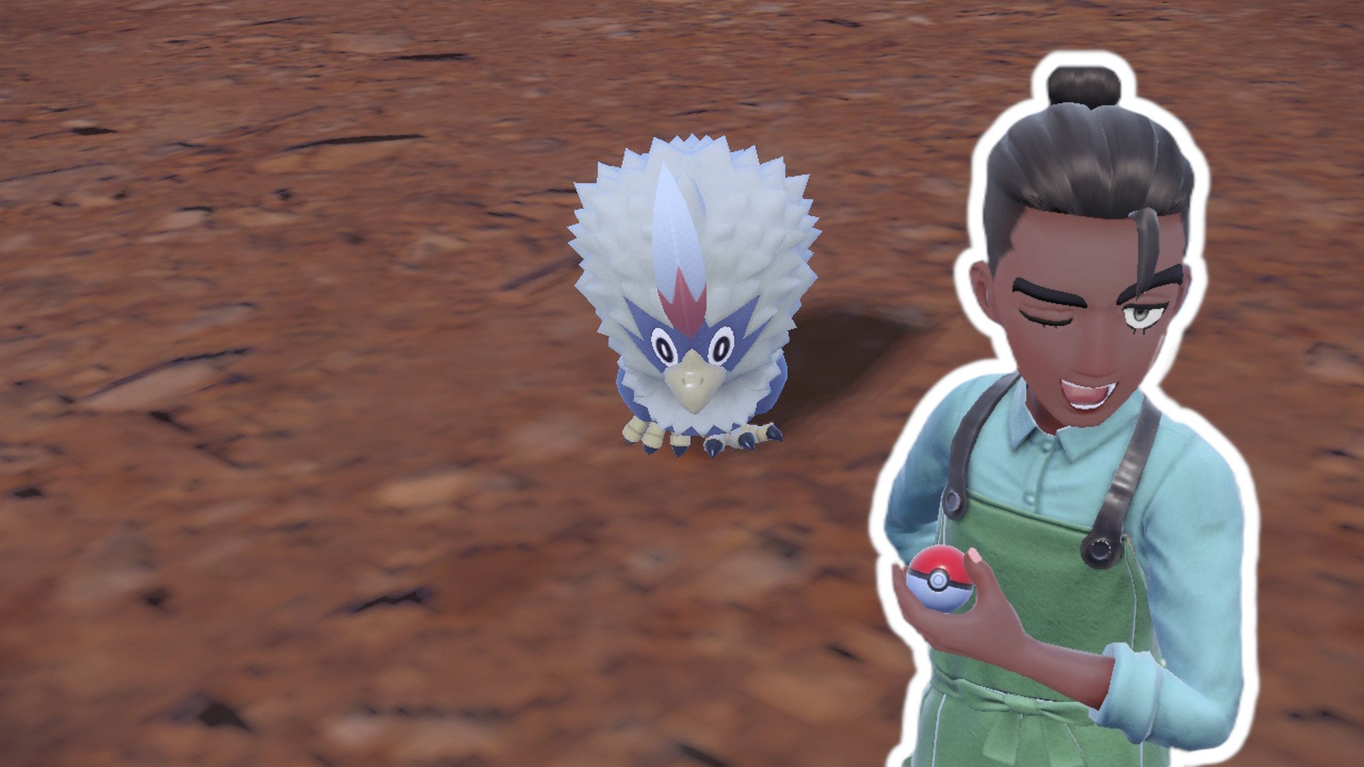 Massive Aufläufe in Pokémon Karmesin und Purpur erklärt.