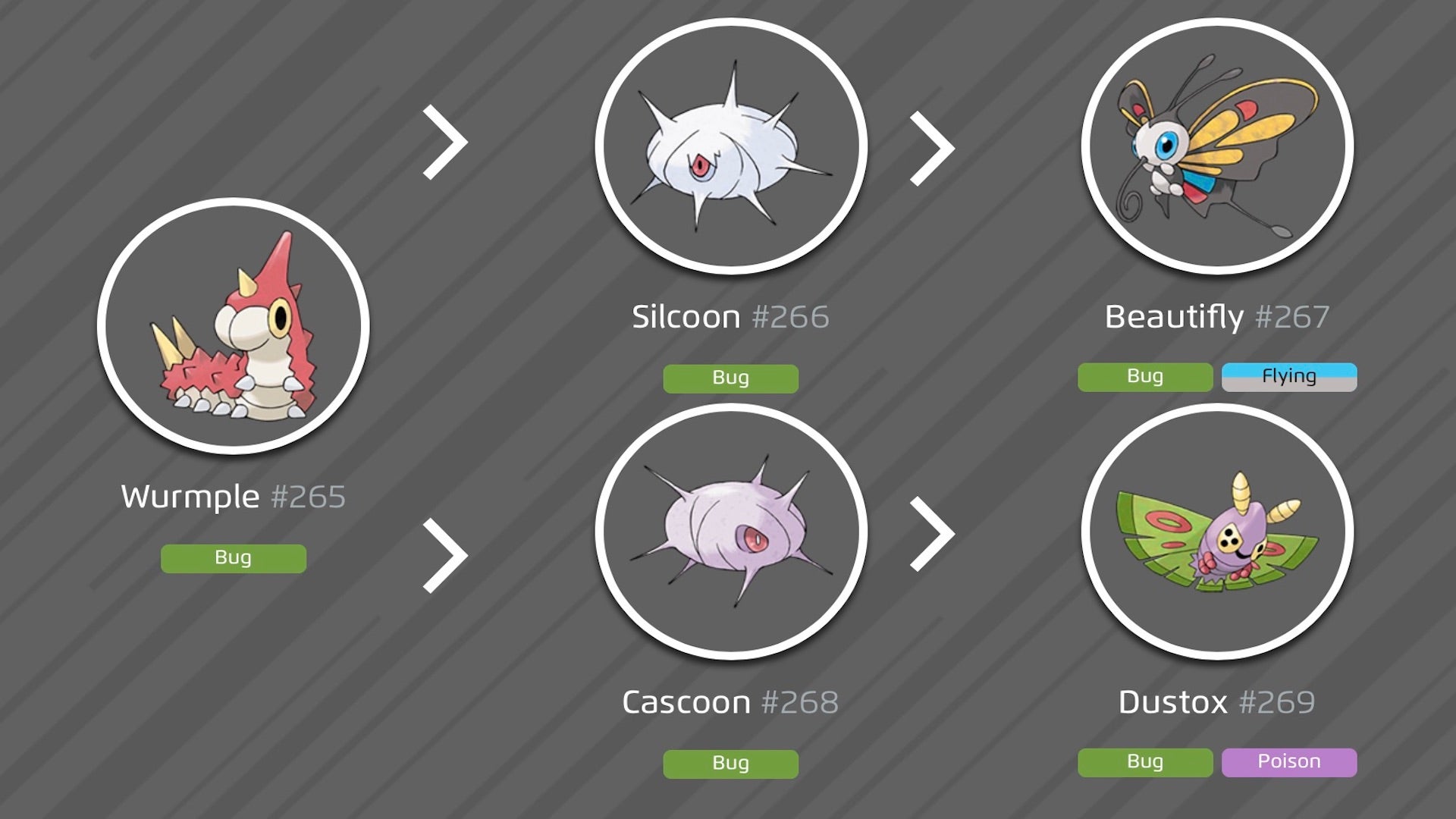 How to evolve Wurmple into Silcoon and Cascoon in Pok mon Go - 20