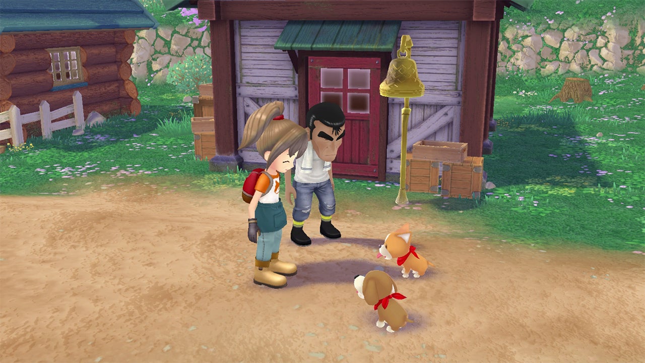 Farmer in Story of Seasons A Wonderful Life with two puppies