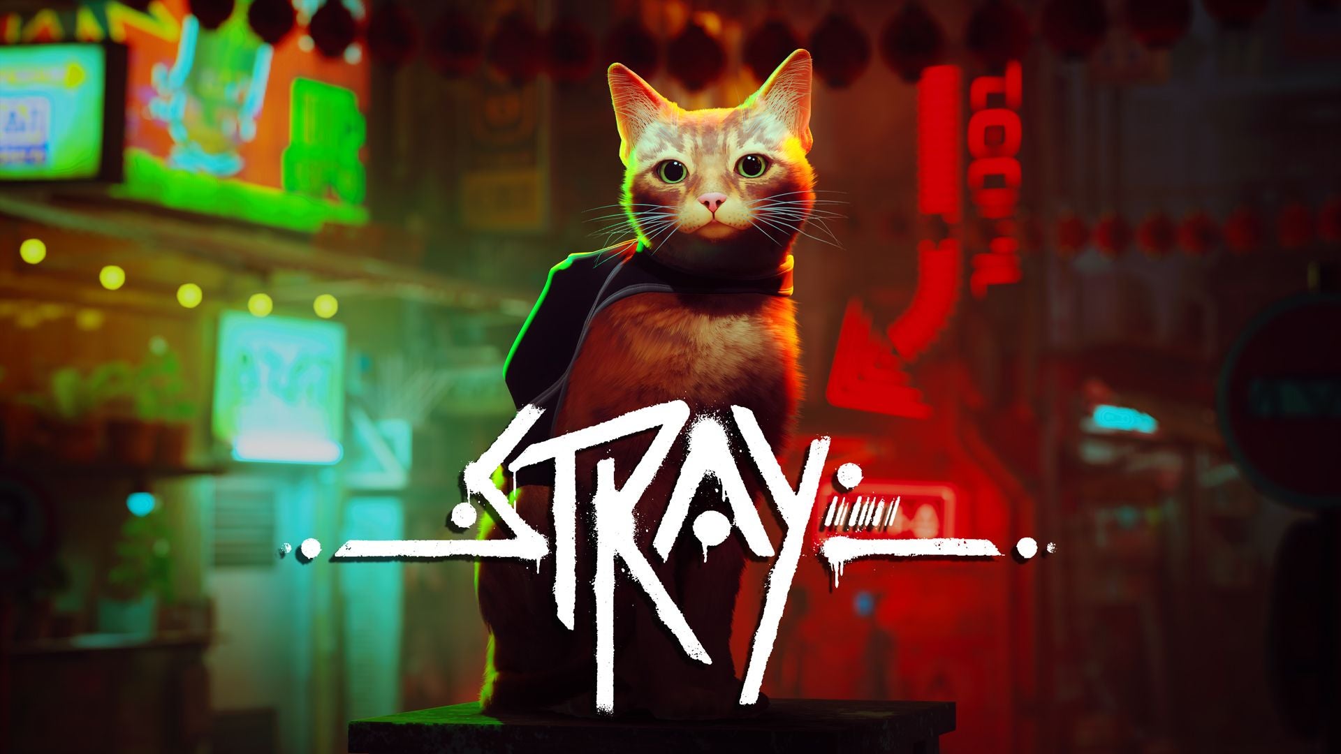 Stray review - fantastic cat exploration through a dystopian cybercity |  Eurogamer.net