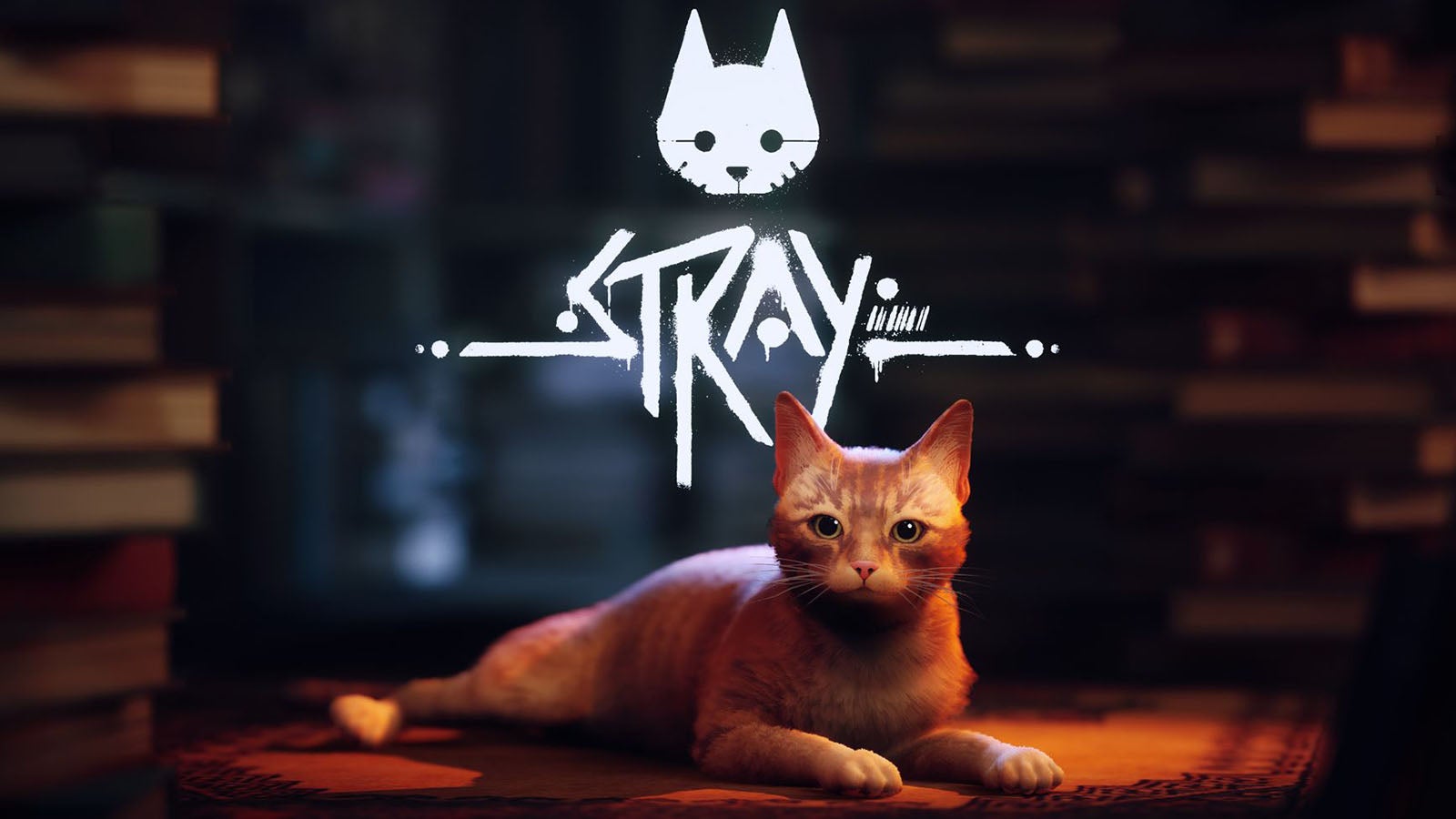 Image for Stray promises a fascinating journey through the eyes of a cat