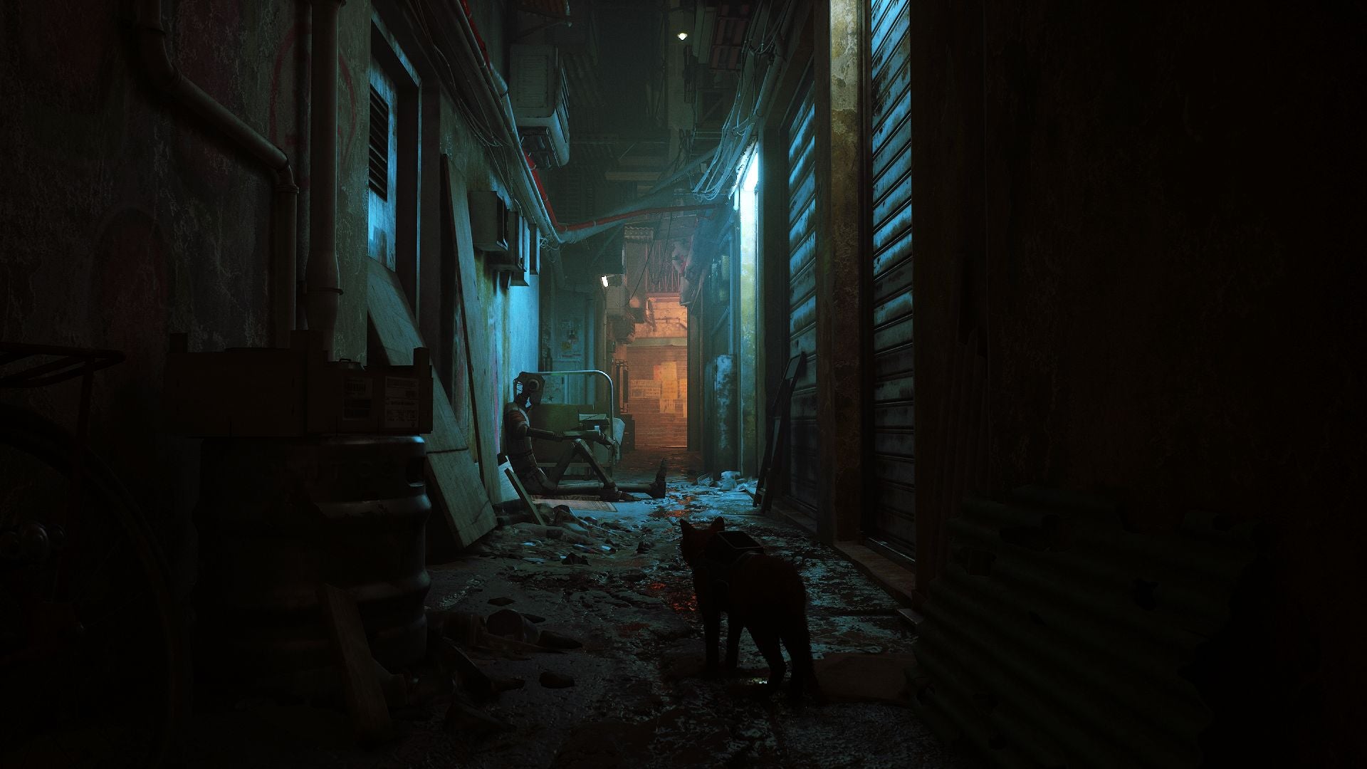 Stray promises a fascinating journey through the eyes of a cat - 19
