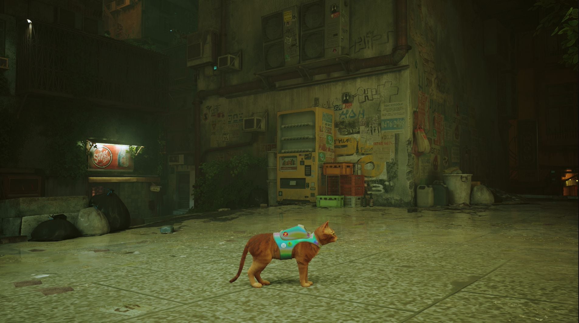 All Stray badge locations - 56