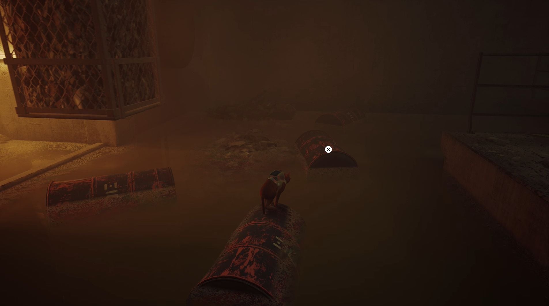 All Stray badge locations - 58